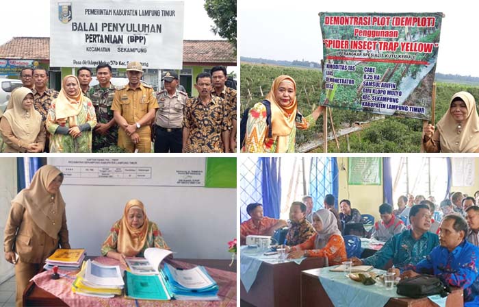 5 Nominator, Tim Pusluhtan Verifikasi BPP Sekampung di Lampung Timur